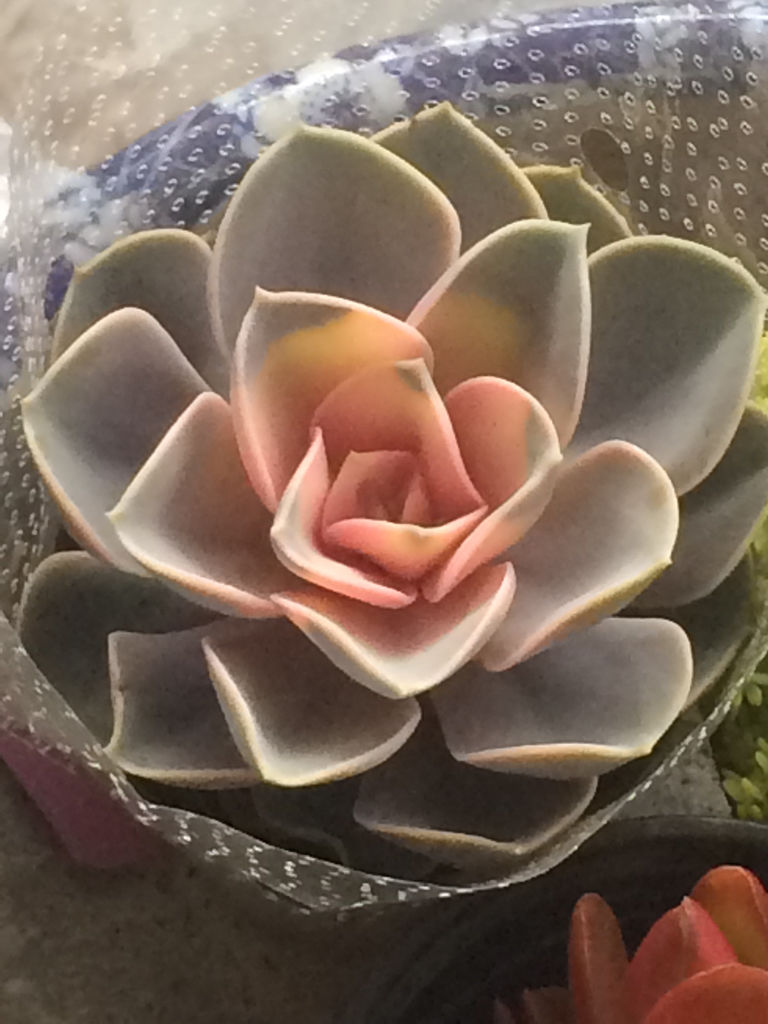 《DNF》2017年5月新手豪华礼包活动_太阳成集团tyc7111cc(图2) 太阳成集团tyc7111cc