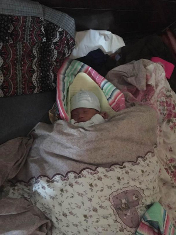 ‘太阳成集团tyc7111cc’中国职业教育国际化发展高端论坛在合肥举行(图2) 太阳成集团tyc7111cc