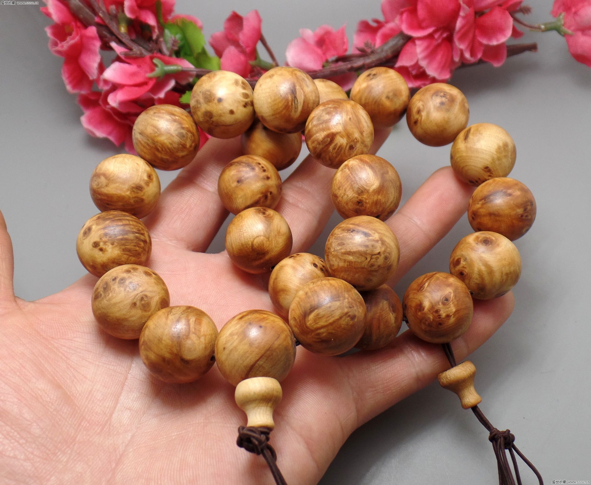 “太阳成集团tyc7111cc”凤凰小学召开新任班主任(副班主任)培训会(图1) 太阳成集团tyc7111cc