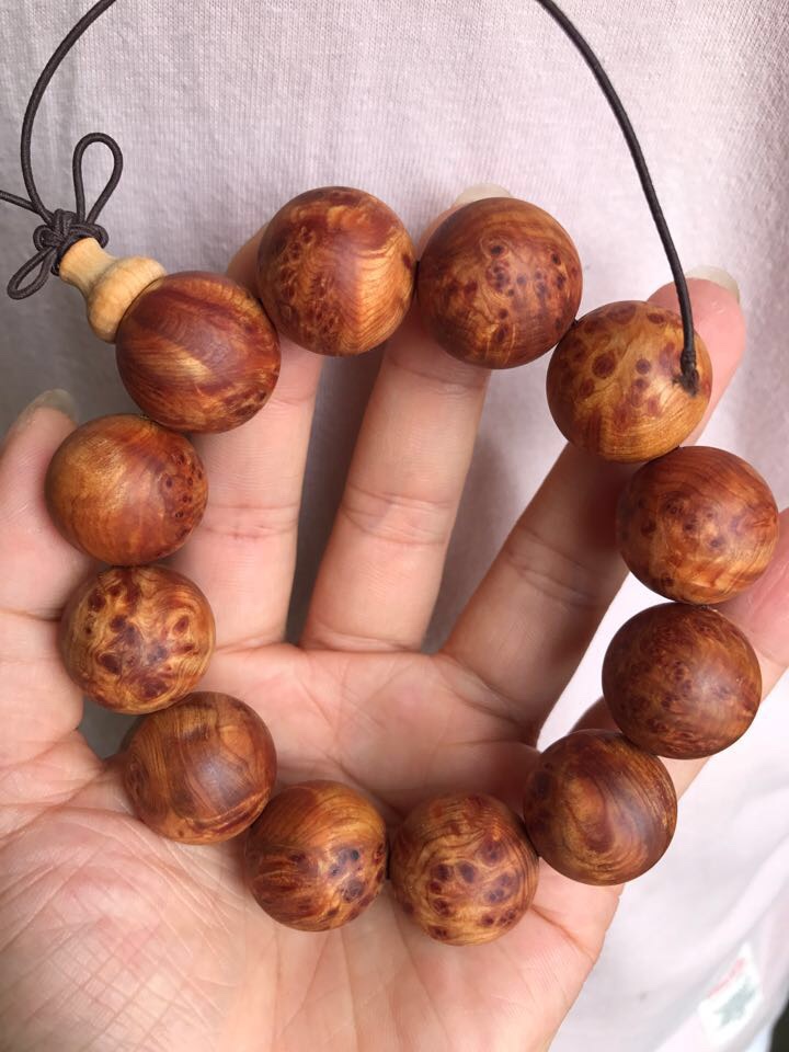 太阳成集团tyc7111cc