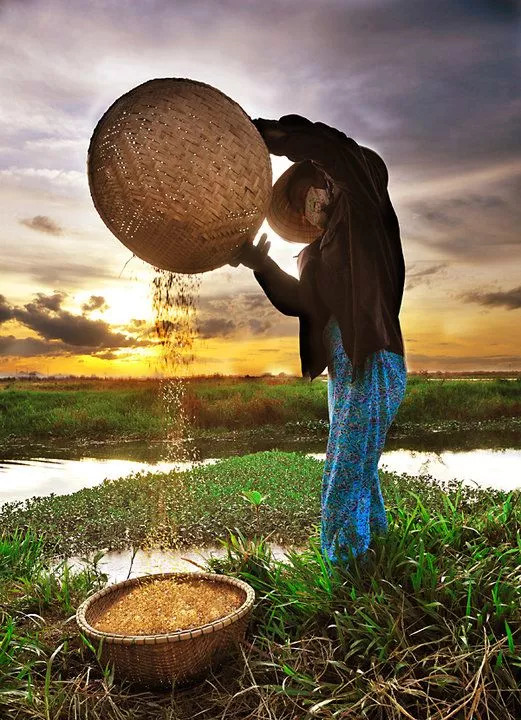 太阳成集团tyc7111cc