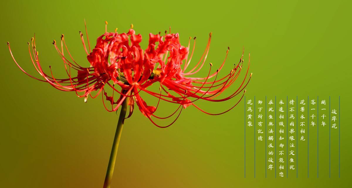 【太阳成集团tyc7111cc】浙江温州3000名中职生春节选择到企业顶岗实习(图2) 太阳成集团tyc7111cc