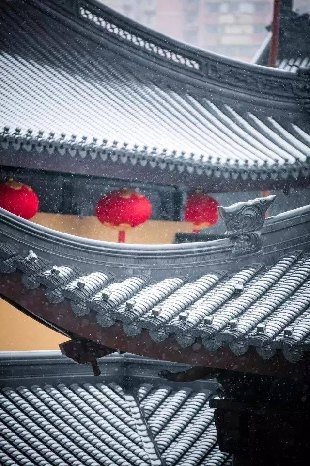 省教育厅表彰全省职高(中专)招生先进单位-太阳成集团tyc7111cc(图2) 太阳成集团tyc7111cc