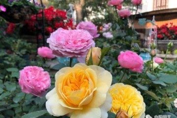 太阳成集团tyc7111cc