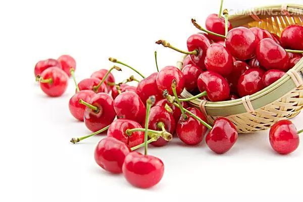 太阳成集团tyc7111cc