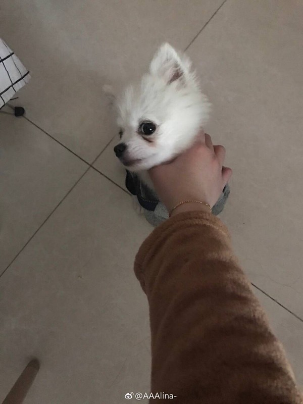 太阳成集团tyc7111cc