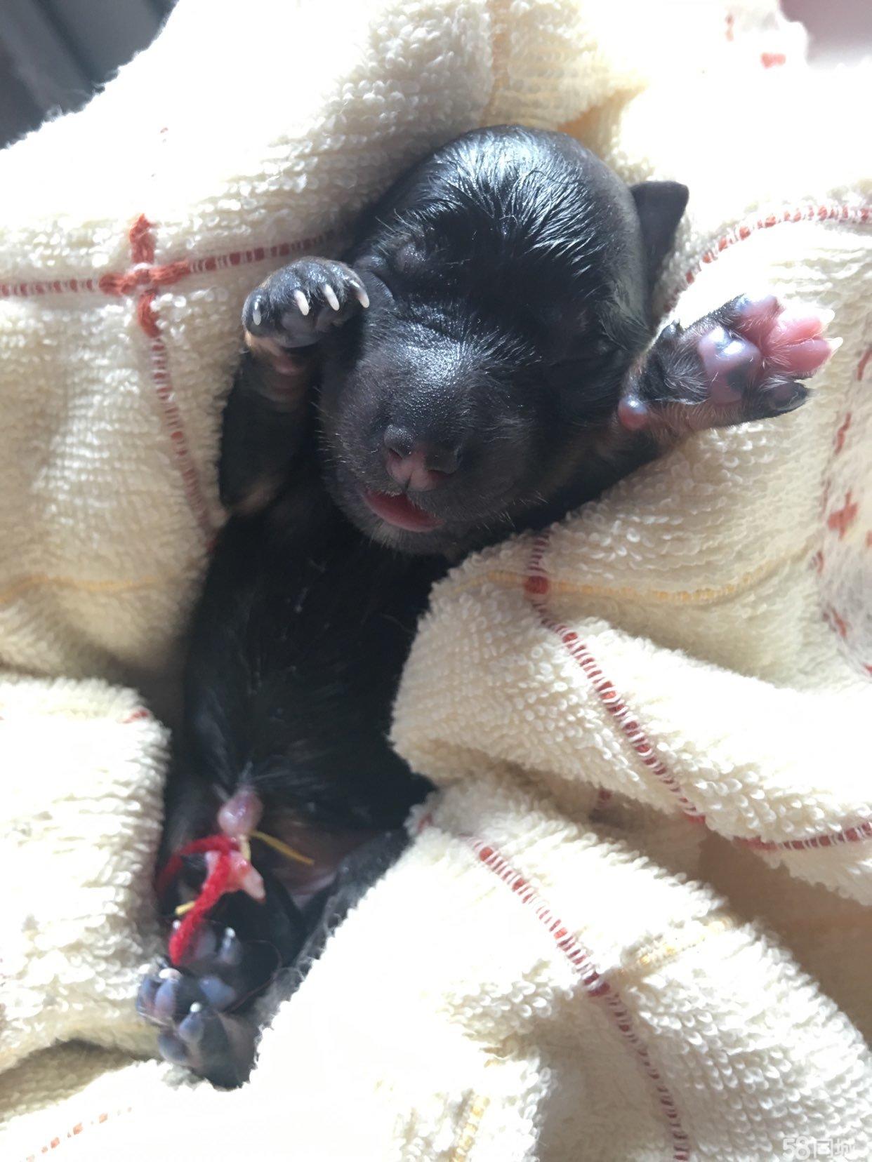 太阳成集团tyc7111cc