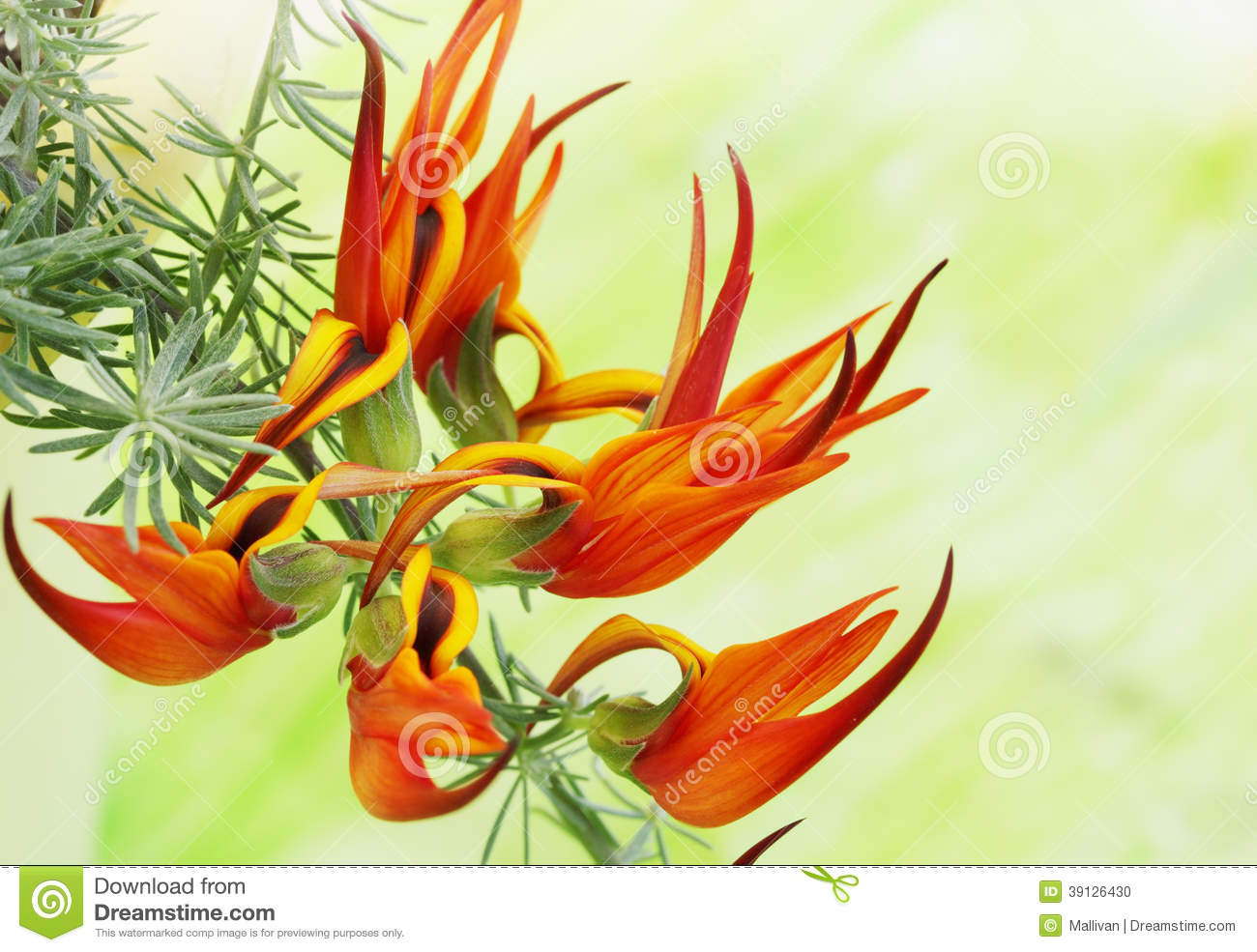 “太阳成集团tyc7111cc”《DOTA2》7.23野怪掉落一览看这里(图2) 太阳成集团tyc7111cc