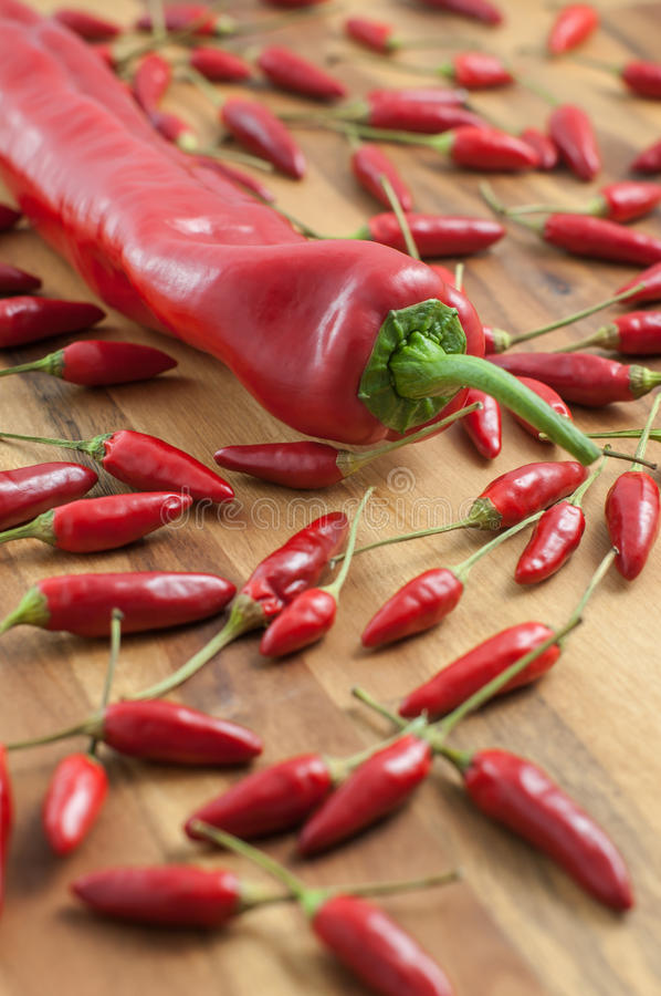 太阳成集团tyc7111cc|深圳牵手德国发展职业教育(图1) 太阳成集团tyc7111cc