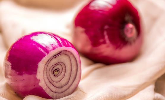 国内首个AI卫星科研机构落户电子科大_太阳成集团tyc7111cc(图3) 太阳成集团tyc7111cc