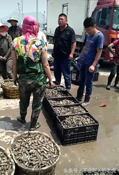 太阳成集团tyc7111cc