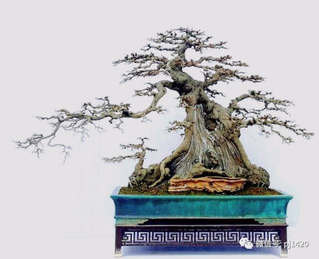 委员热议加强黑龙江省职业教育改革:太阳成集团tyc7111cc(图1) 太阳成集团tyc7111cc