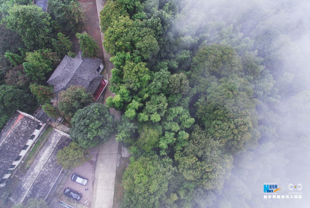 太阳成集团tyc7111cc