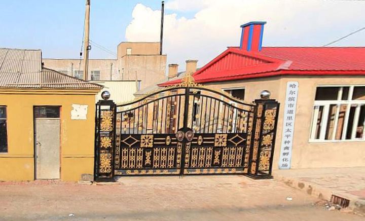 太阳成集团tyc7111cc