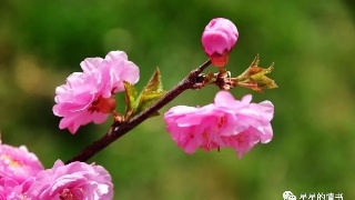 太阳成集团tyc7111cc-眉山市2019年度退役士兵职业教育和技能培训全面拉开帷幕(图4) 太阳成集团tyc7111cc