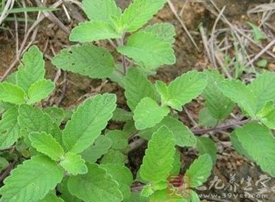 太阳成集团tyc7111cc