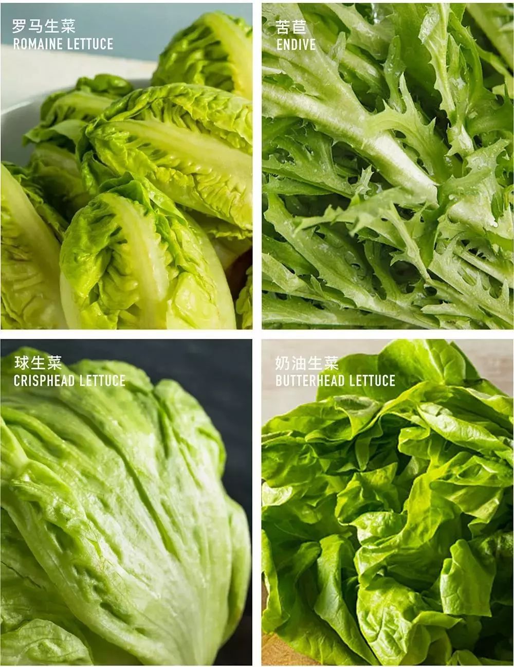 “太阳成集团tyc7111cc”河北省10月20日开始中职新生注册(图1) 太阳成集团tyc7111cc