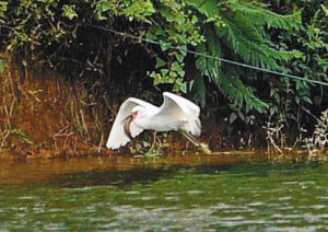 太阳成集团tyc7111cc