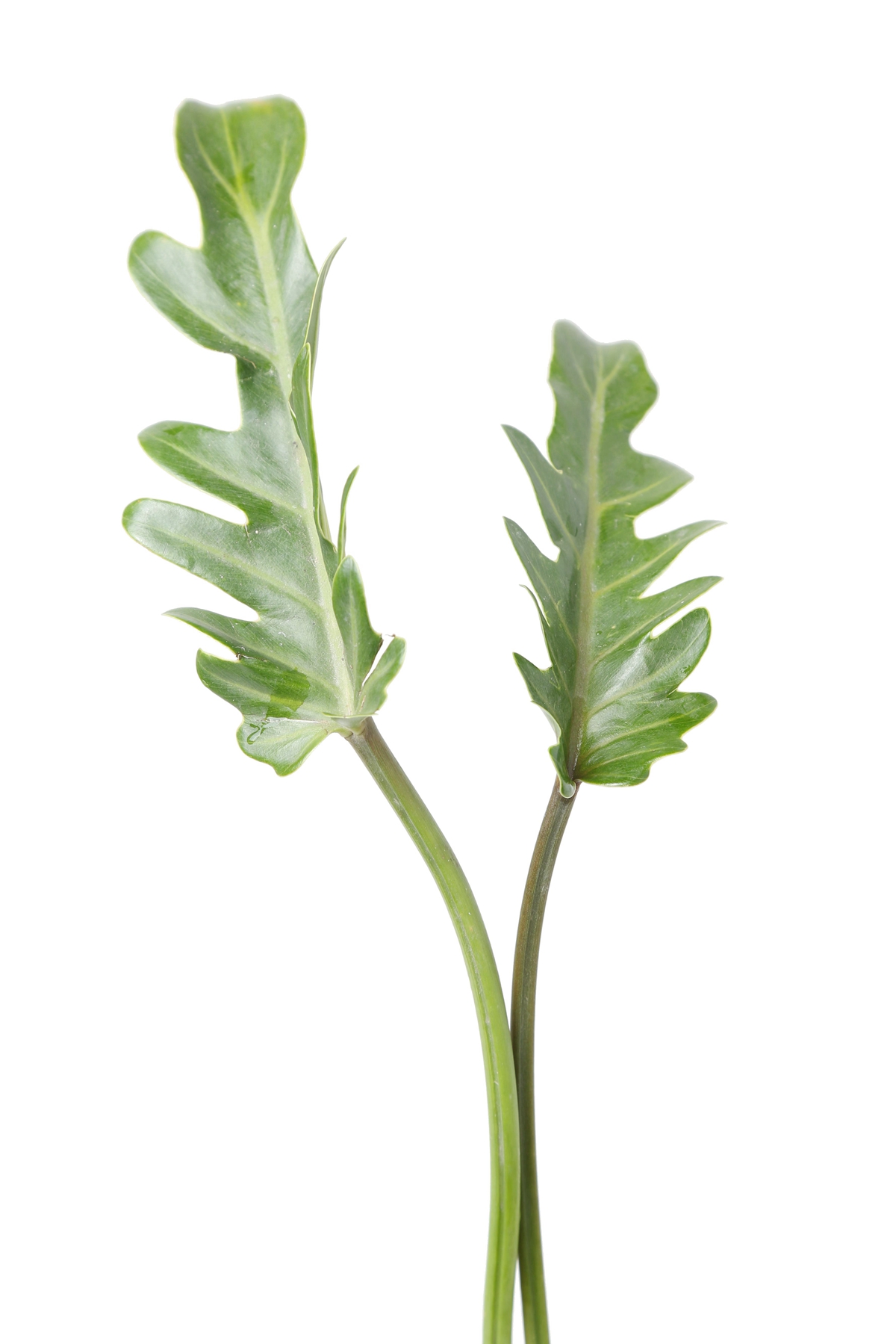 以评促建办人民满意的职业学校——广昌职校接受省示范性职业学校复评_太阳成集团tyc7111cc(图1) 太阳成集团tyc7111cc