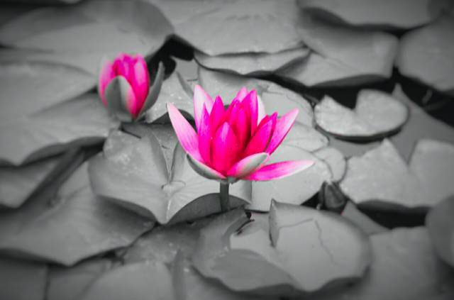 太阳成集团tyc7111cc