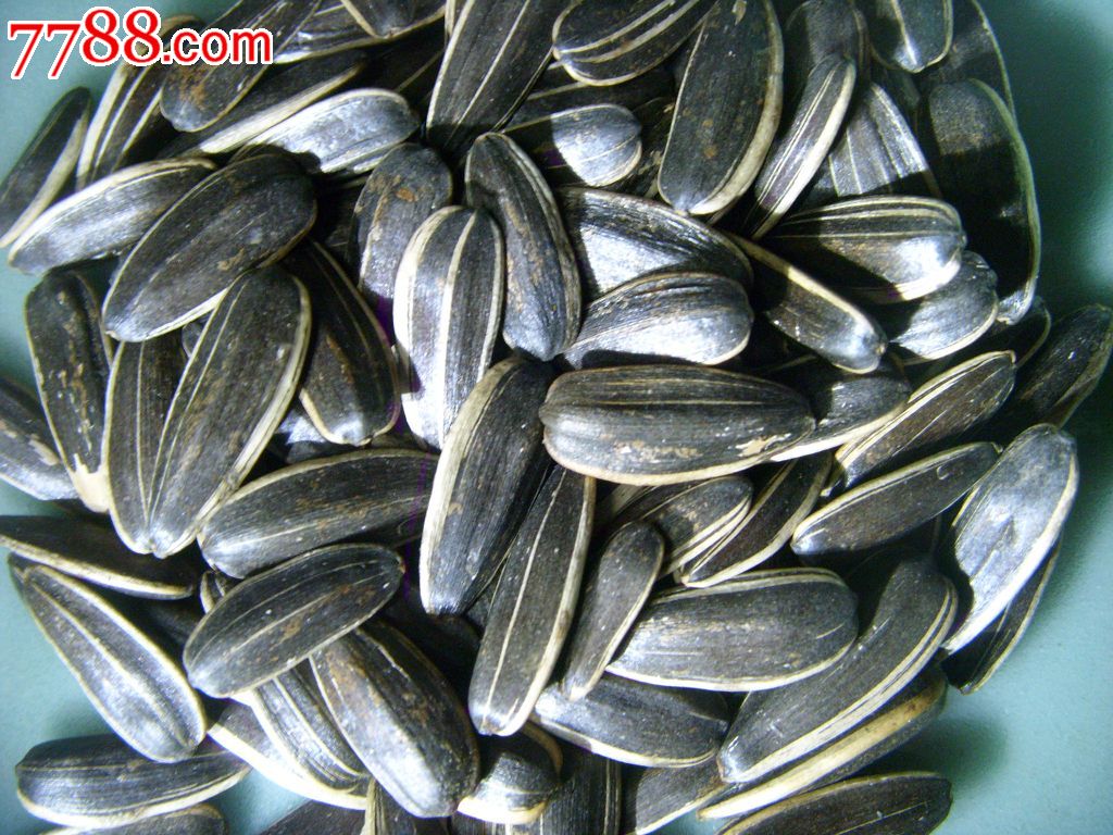 1.29测试服务改动:EZ加强 野区经验调整-太阳成集团tyc7111cc(图1) 太阳成集团tyc7111cc