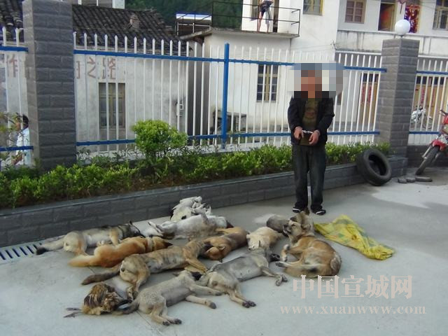 《心舞手游》品质大升级,爆款不断的环境下,游牛网络借心理战拉新促活_太阳成集团tyc7111cc(图1) 太阳成集团tyc7111cc