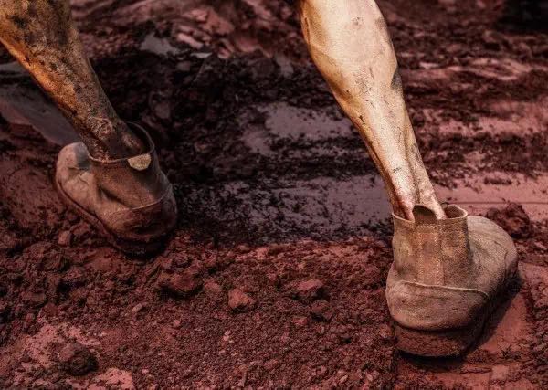 太阳成集团tyc7111cc