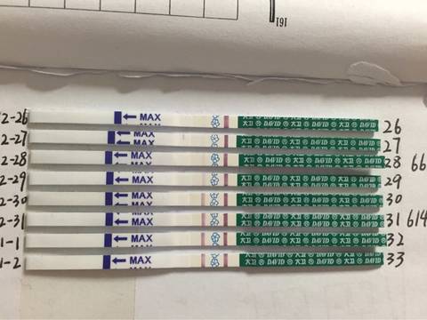 “太阳成集团tyc7111cc”工程职校2019级新生拓展训练汇报表演圆满落幕(图1) 太阳成集团tyc7111cc