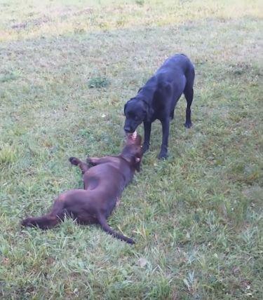 2020厦门第一幼儿园划片招生范围_太阳成集团tyc7111cc(图1) 太阳成集团tyc7111cc