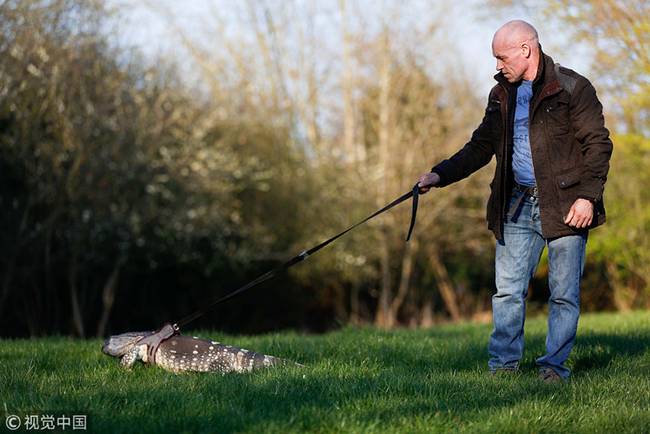 太阳成集团tyc7111cc