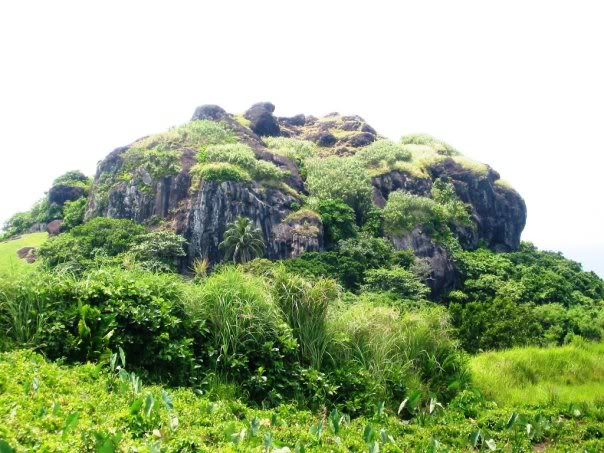 Uzi自爆想参加云顶赛 没有报名只因太菜了|太阳成集团tyc7111cc(图3) 太阳成集团tyc7111cc