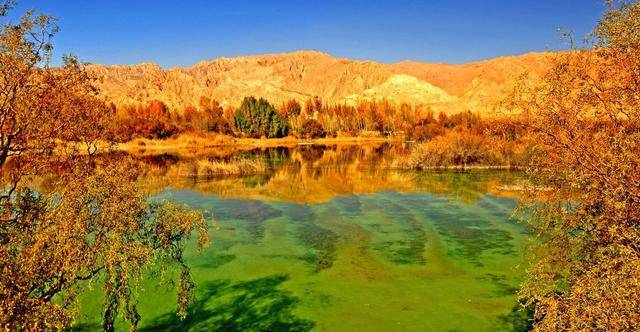 【太阳成集团tyc7111cc】蓝翔LX电竞战队选手ID曝光:汽修美发挖掘机一个不少(图3) 太阳成集团tyc7111cc