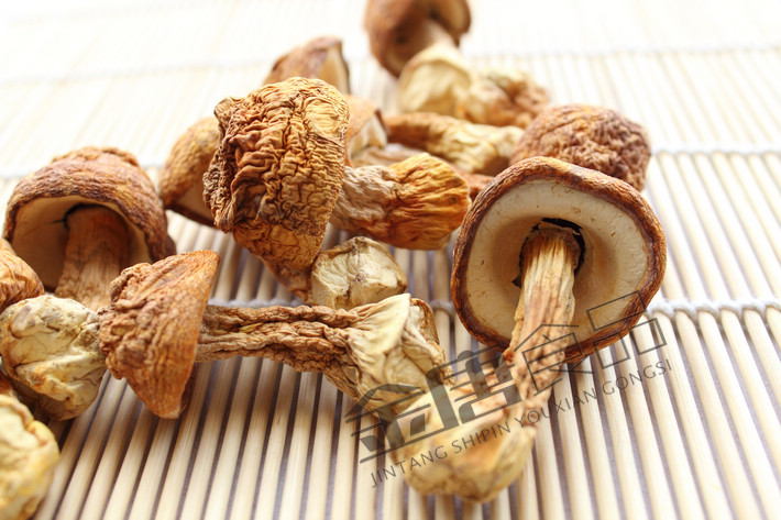 太阳成集团tyc7111cc