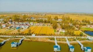 ‘太阳成集团tyc7111cc’天坛中心幼儿园开展“爸爸进课堂”助教活(图3) 太阳成集团tyc7111cc