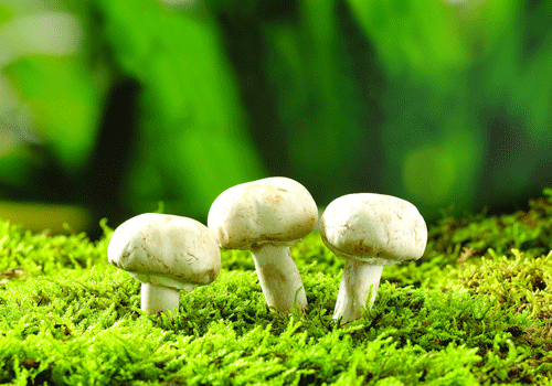 太阳成集团tyc7111cc:《炉石传说》太子克苏恩小德卡组介绍(图2) 太阳成集团tyc7111cc