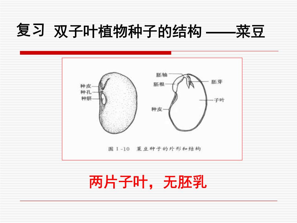 “太阳成集团tyc7111cc”铸就全新里程碑 香蕉游戏电竞梦想的驱动者(图3) 太阳成集团tyc7111cc