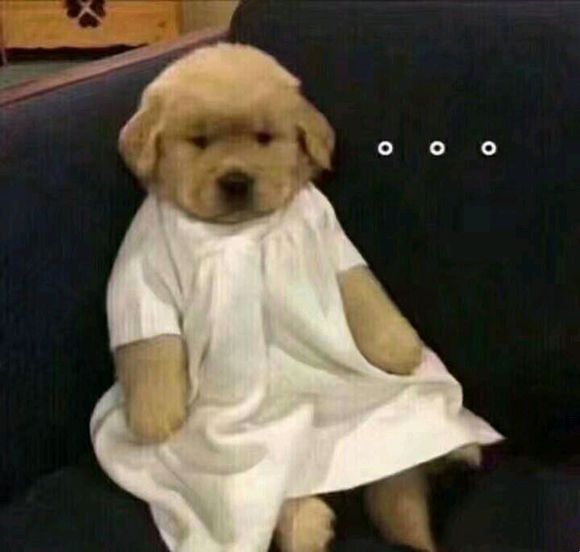 太阳成集团tyc7111cc