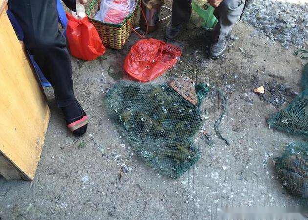 ‘太阳成集团tyc7111cc’浙江富阳城镇职高:给学生受用一生的第一技能(图1) 太阳成集团tyc7111cc