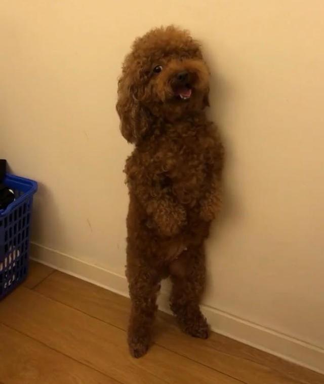 太阳成集团tyc7111cc-俞敏洪为北邮大一学子上“开学第一课”(图2) 太阳成集团tyc7111cc