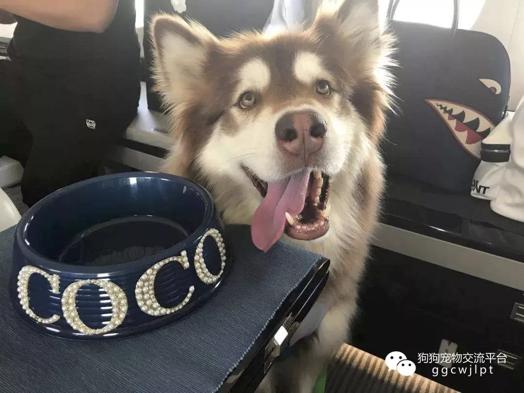 太阳成集团tyc7111cc