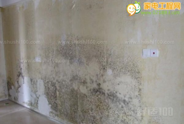 “禁毒防邪”宣传教育进校园活动启动仪式在大面小学举行_太阳成集团tyc7111cc(图3) 太阳成集团tyc7111cc