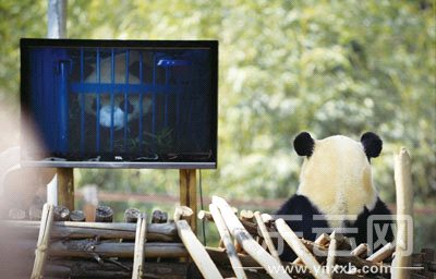 《魔兽世界》7.1浮骸位置详解‘太阳成集团tyc7111cc’(图1) 太阳成集团tyc7111cc